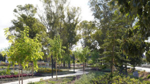 La zona este de Estepona contará con un nuevo espacio verde de 20.000 metros cuadrados