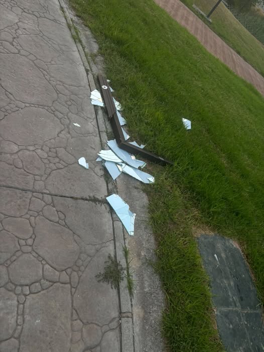 Alertan de un elemento peligroso en el parque del Cordobés