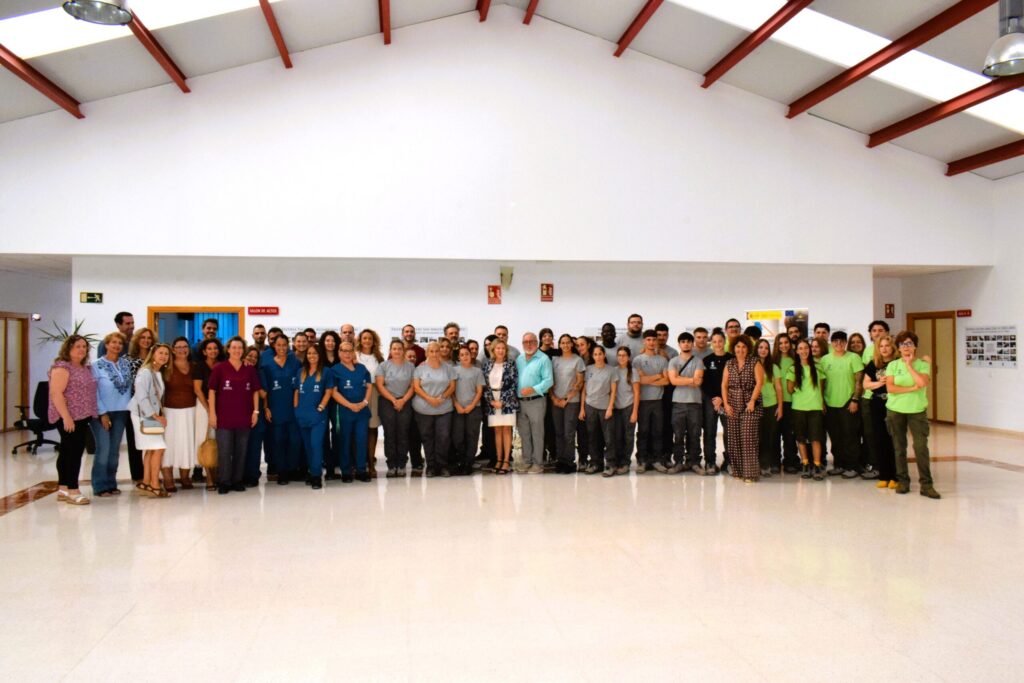 En marcha cuatro nuevos programas de empleo en Alhaurín de la Torre